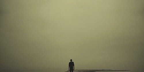 1461033_746667398695479_547831367_n